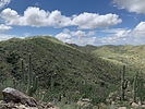 photo thumbnail #2