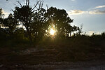 photo thumbnail #13