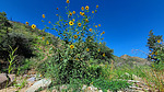 photo thumbnail #13