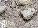 photo thumbnail #10