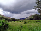 photo thumbnail #12