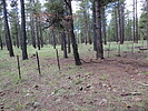 photo thumbnail #4