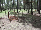 photo thumbnail #5