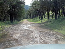 photo thumbnail #8