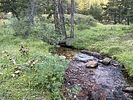 photo thumbnail #1