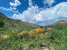 2022-08-27 :1: Dutch - Whiskey - Bluff Springs Loop :: joebartels