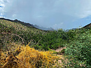 2022-08-27 :1: Dutch - Whiskey - Bluff Springs Loop :: joebartels