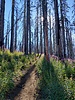 photo thumbnail #2