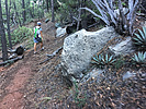 photo thumbnail #1