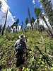 photo thumbnail #13