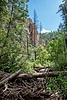 photo thumbnail #9