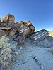 photo thumbnail #1