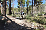 photo thumbnail #3