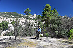 photo thumbnail #7