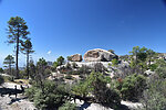 photo thumbnail #11