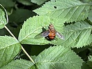 photo thumbnail #8