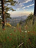 photo thumbnail #1
