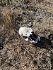 photo thumbnail #1