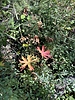 photo thumbnail #3