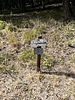 photo thumbnail #5