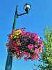 photo thumbnail #15