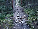 photo thumbnail #1
