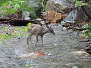 2022-08-26 :2: Madera Nature Trail #88 :: cactuscat