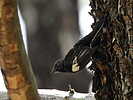 photo thumbnail #11