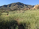 photo thumbnail #4