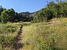 photo thumbnail #6