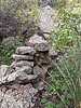 photo thumbnail #15