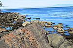 photo thumbnail #4
