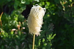 photo thumbnail #14