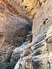 photo thumbnail #13