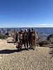 photo thumbnail #15