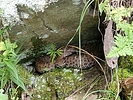 photo thumbnail #12