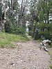 photo thumbnail #4