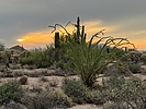 photo thumbnail #2