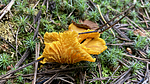 photo thumbnail #6