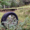 photo thumbnail #14