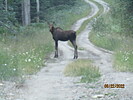 photo thumbnail #15