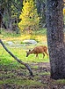 photo thumbnail #3
