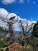 2022-09-10 :1: Salida Trails :: joebartels