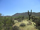 photo thumbnail #3