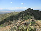photo thumbnail #5