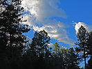 photo thumbnail #10