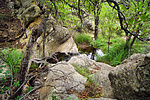 photo thumbnail #9
