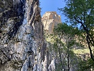 photo thumbnail #9
