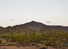 photo thumbnail #10