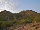 photo thumbnail #11